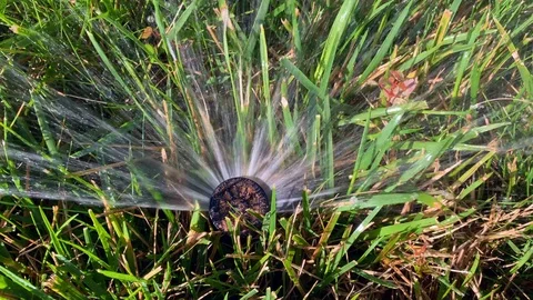 Yard sprinkler 1 Stock Footage 110801008