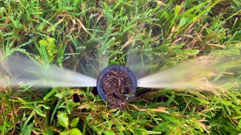 Yard sprinkler 3 Stock Footage 110801003