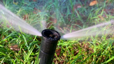 Yard sprinkler 4 Stock Footage 110800655