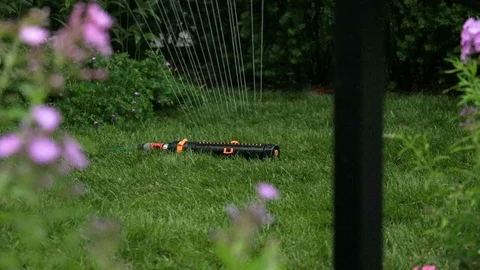 Yard sprinkler Stock Footage 93714161