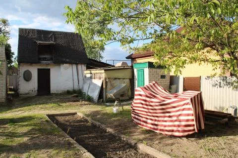 Yard in summer. Stock-Fotos