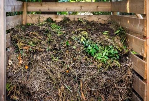 Yard waste in compost bin Stock Photos