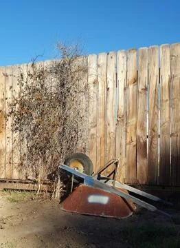 YARD  WITH WHEEL BARROW Fotos Stock