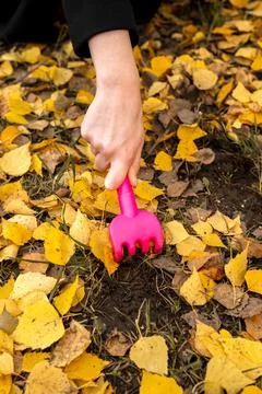 Yard work Stock Photos