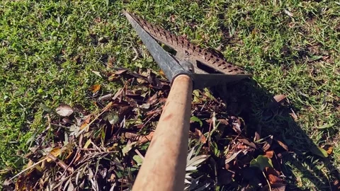 Yard work POV: Raking leaves on backyard lawn, detail with copy space Stock-Footage 336223431