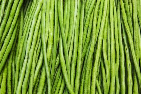 Yardlong bean Stock Photos