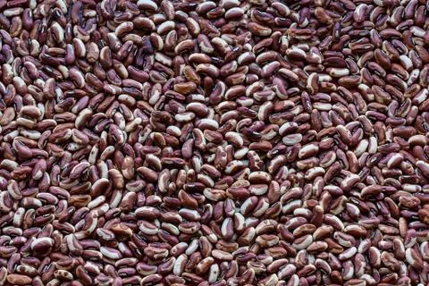 Yardlong bean seeds Foto stock