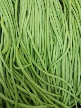 Yardlong bean vegetables Фото