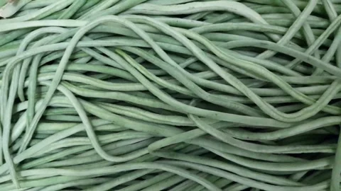 Yardlong bean vegetables video footage Stock Footage 314917805