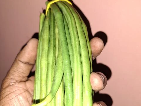 Yardlong beans are slender, nutritious legumes, ideal for stir-fries Stock Photos