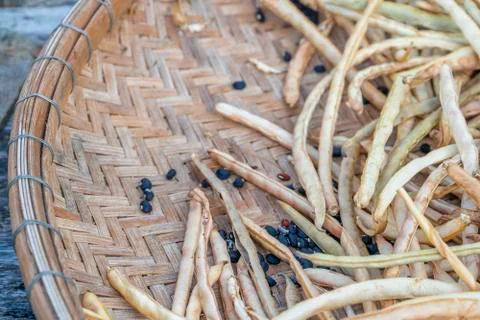 Yardlong beans dry and yardlong beans pod in basket Stock Photos