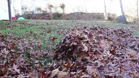 Yardwork/blowing leaves Stock Footage 45118250