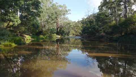 Yarra river flowing through warrandyte state park forest Stockbeeldmateriaal 336359863