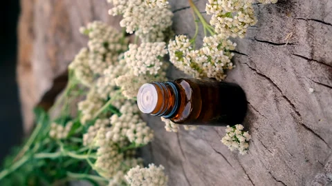 Yarrow extract in a bottle. Selective focus. Stock Footage 289671253