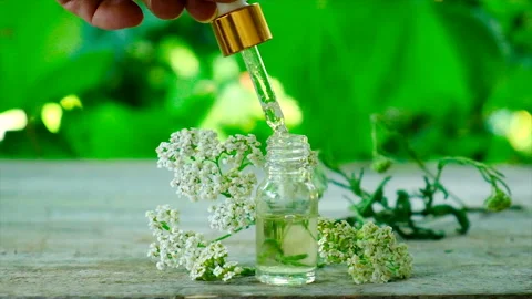 Yarrow extract in a small bottle. Selective focus. Stock Footage 169730703