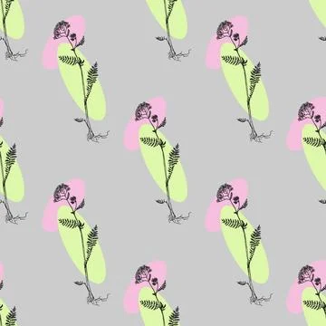 Yarrow seamless pattern Seamless pattern with hand drawn yarrow on a grey ... Stock Photos