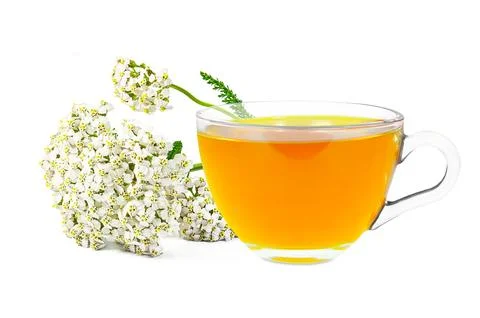 Yarrow tea Stock Photos