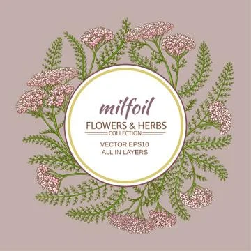 Yarrow vector frame Illustrazione stock