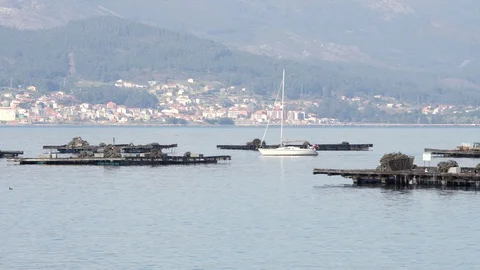 Yatch sailing between mussel platforms called bateas Видео 103730069