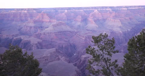 Yavapai Point Sunrise Through Pine Trees Stock Footage 341540213