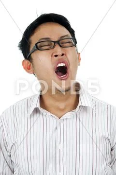 Yawns. Stock Photos