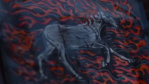Year of the fire horse 2026 Stock Footage 320844122