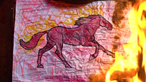 Year of the fire horse 스톡 동영상 320673652