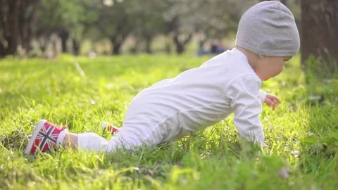 A year-old child is crawling along the grass in the park Stock Footage 77628648