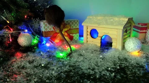 Year of rat Stock Footage 118089652