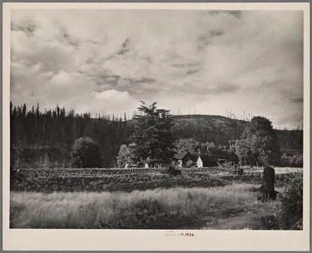 Years of back breaking labor is represented by the small cleared plot in t... Fotos de archivo