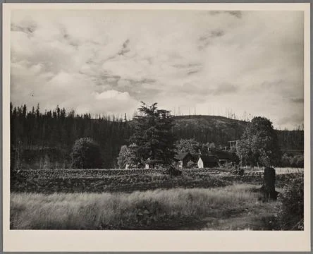 Years of back breaking labor is represented by the small cleared plot in t... Fotos Stock
