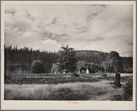 Years of back breaking labor is represented by the small cleared plot in t... Fotos de archivo