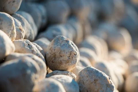 Yeast background Stock Photos