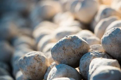 Yeast background Stock Photos