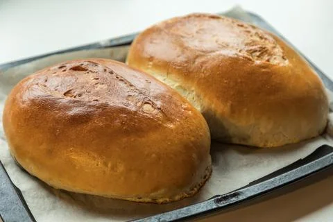 Yeast buns on a baking sheet Stock Photos