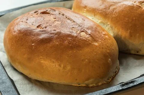Yeast buns on a baking sheet Stock Photos