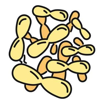 Yeast cells budding and multiplying microbiology concept Stock Illustration