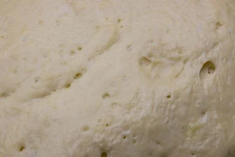 Yeast dough as background. texture of fermented dough. ferment for baking. Stock Photos