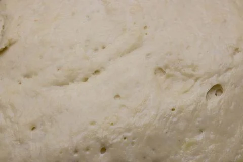 Yeast dough as background. texture of fermented dough. ferment for baking. Stock Photos