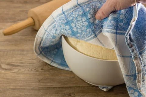 Yeast dough Foto stock
