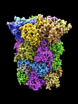 Yeast enzyme, molecular model Stock Illustration