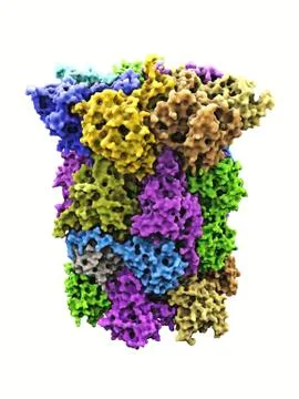 Yeast enzyme, molecular model Stock Illustration