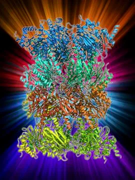 Yeast enzyme, molecular model Stock Illustration