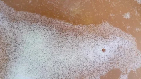 Yeast fermented as a background, Closeup fermentation process of yeast. Stock Footage 252096144