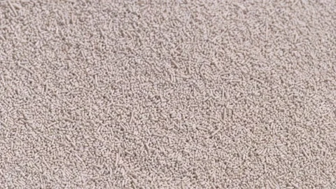 Yeast pellets falling Vídeo Stock 134665830