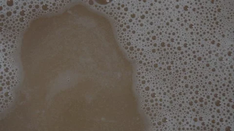 ํYeast process of wine fermentation. Stock Footage 241291210