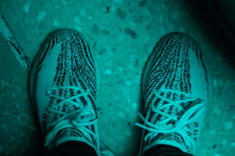 Yeezy Zebra 写真素材