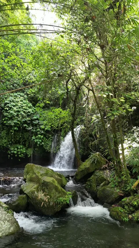 Yeh hoo waterfall Video stock 294549788