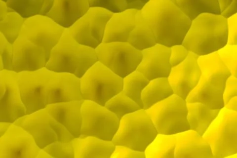 Yellow abstract background イラスト素材