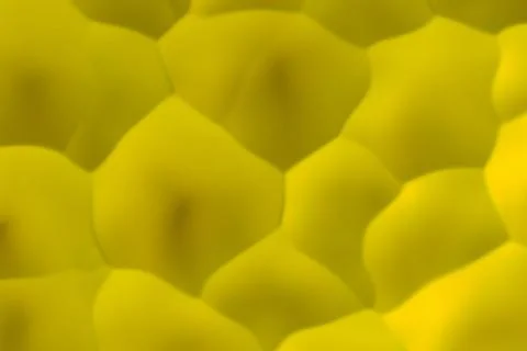 Yellow abstract background Stock Illustration